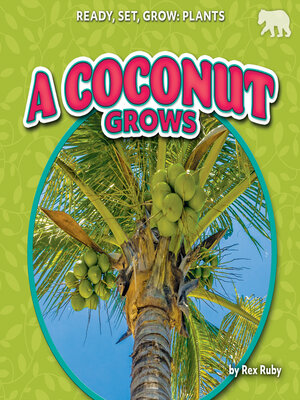 cover image of A Coconut Grows